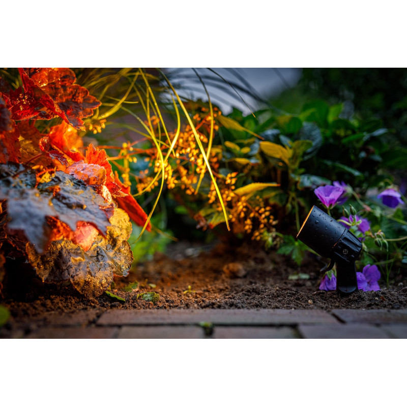 Techmar Garden Lighting UK Outdoor Lights Low Voltage Neso 12V 2W LED Outdoor Spotlight. 2