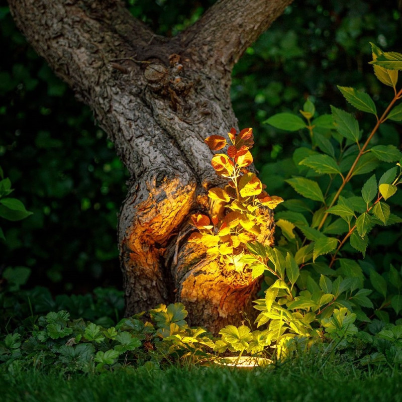 Techmar Garden Lighting UK Outdoor Lights Rubum 12V 5W LED Outdoor Uplight 3