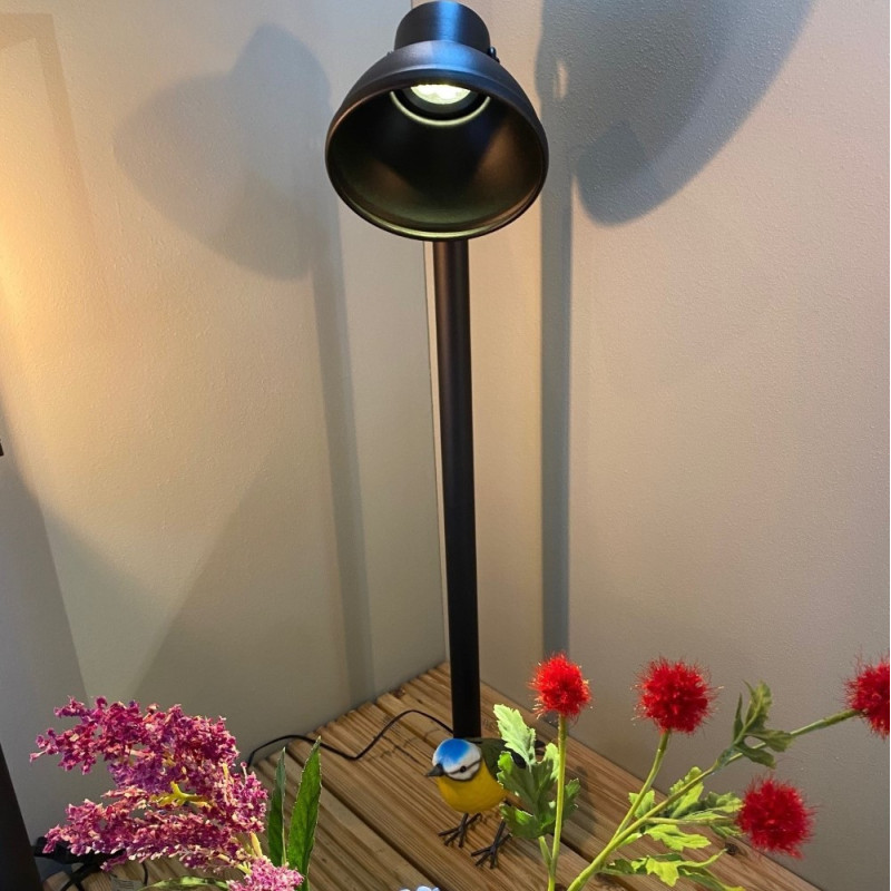 Techmar Garden Lighting UK Outdoor Lights Low Voltage Dax 12V 1.8W LED Outdoor Spotlight 5