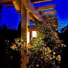 Techmar Garden Lighting UK Outdoor Lights Callisto Rustic 1.5w LED Hanging Wall Light 4