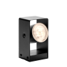 UK Low Voltage Techmar 12V Lovi 2W Garden Spotlight