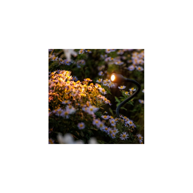 UK Outdoor Low Voltage Lighting - Lightpro 12 Volt Xible Spotlight 3