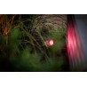 UK Outdoor Low Voltage Garden Lighting Lightpro 12V Low Voltage Castor Smart 5W IP44 Spotlight RED