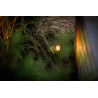 UK Outdoor Low Voltage Garden Lighting Lightpro 12V Low Voltage Castor Smart 5W IP44 Spotlight ORANGE