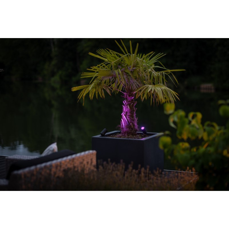 UK Outdoor Low Voltage Garden Lighting Lightpro 12V Low Voltage Castor Smart 5W IP44 Spotlight PINK 3