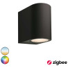 UK Low Voltage Garden Lighting Techmar Gilvus Smart Zigbee Wall Light