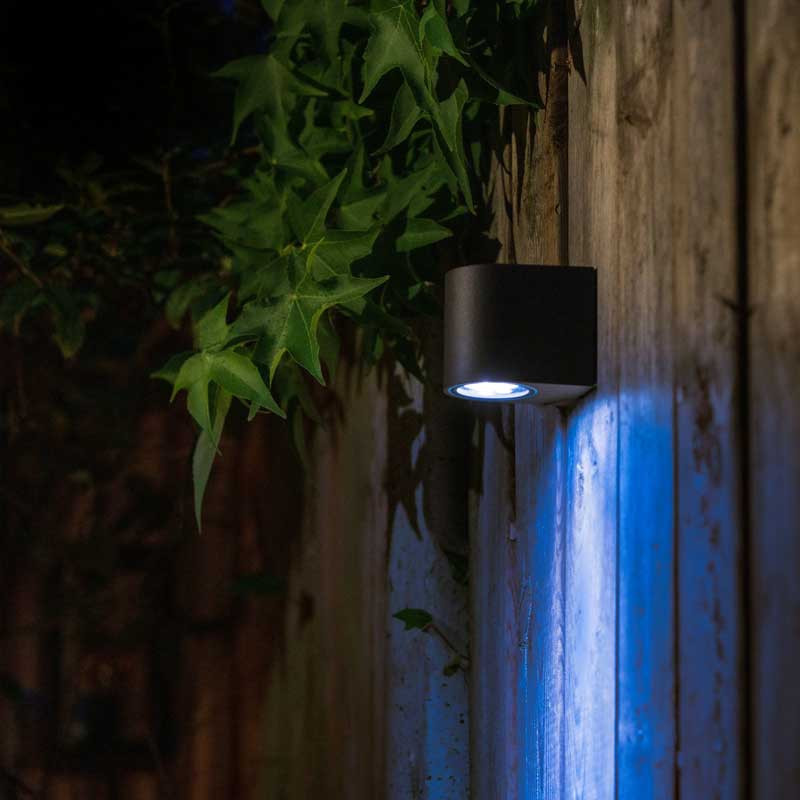 UK Low Voltage Garden Lighting Techmar Gilvus Smart Zigbee Wall Light blue