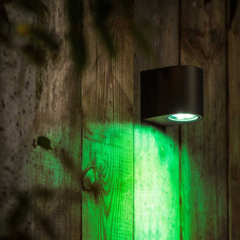 UK Low Voltage Garden Lighting Techmar Gilvus Smart Zigbee Wall Light green