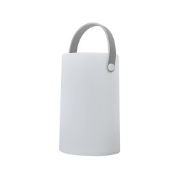 Daomu Rechargeable RGB Table/Floor Lamp