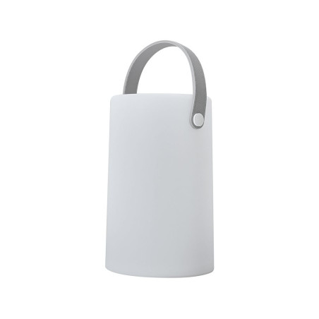 Daomu Rechargeable RGB Table/Floor Lamp