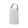 Daomu Rechargeable RGB Table/Floor Lamp
