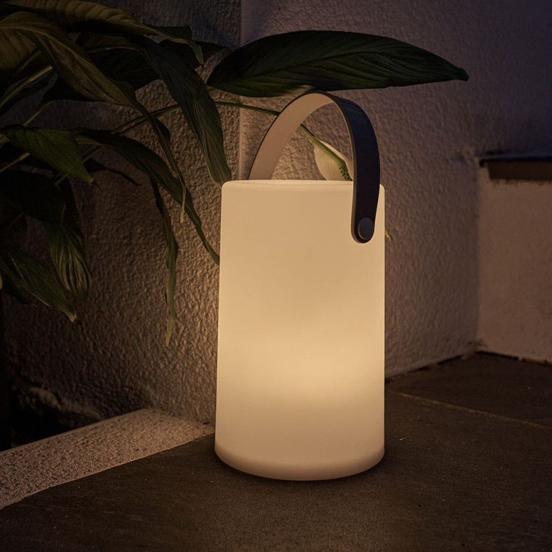Daomu Rechargeable RGB Table/Floor Lamp 5