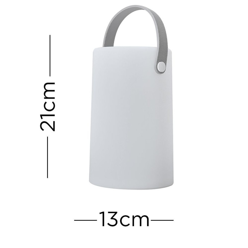 Daomu Rechargeable RGB Table/Floor Lamp 2