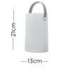 Daomu Rechargeable RGB Table/Floor Lamp 2