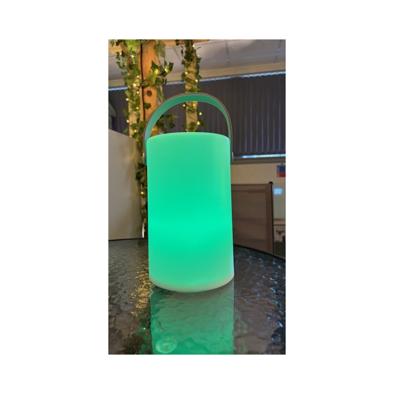 Daomu Rechargeable RGB Table/Floor Lamp GREEN