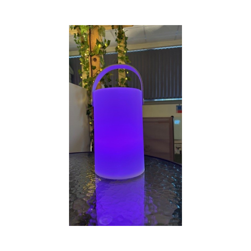 Daomu Rechargeable RGB Table/Floor Lamp PURPLE