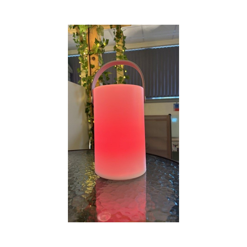 Daomu Rechargeable RGB Table/Floor Lamp RED