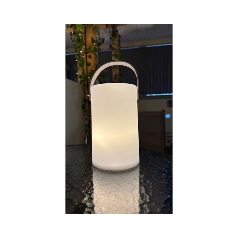 Daomu Rechargeable RGB Table/Floor Lamp WHITE