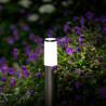 Techmar Garden Lighting UK Outdoor Lights Low Voltage Silia 12V 1W LED Outdoor Post Light. 10