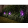 UK Low Voltage Garden Lighting Techmar Arco 40 Smart Zigbee Post Light 10