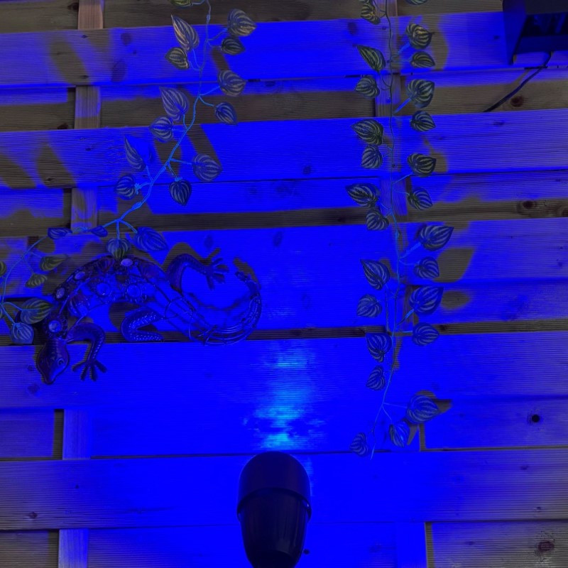 Techmar Garden Lighting UK Outdoor Lights MR16 5.5W Blue LED 2