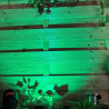 Techmar Garden Lighting UK Outdoor Lights MR11 2W Green LED