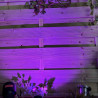 Techmar Garden Lighting UK Outdoor Lights MR11 2W Magenta LED
