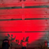 Techmar Garden Lighting UK Outdoor Lights MR11 2W Red LED