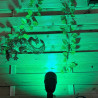 Techmar Garden Lighting UK Outdoor Lights MR16 5.5W Green