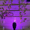Techmar Garden Lighting UK Outdoor Lights MR16 5.5W Magenta