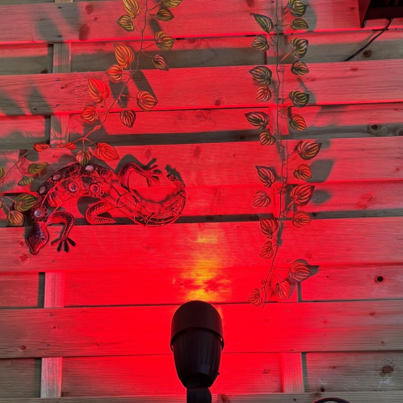 Techmar Garden Lighting UK Outdoor Lights MR16 5.5W Red