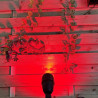Techmar Garden Lighting UK Outdoor Lights MR16 5.5W Red