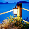 Techmar Garden Lighting UK Outdoor Lights Callisto Rustic 1.5w LED Hanging Wall Light 1
